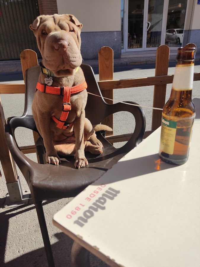 Bar-Cafe Taberneta 2