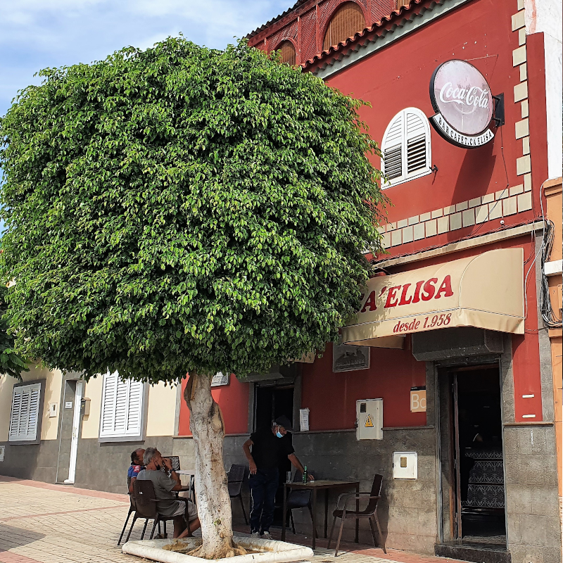 Bar Cafeteria Ca’ Elisa