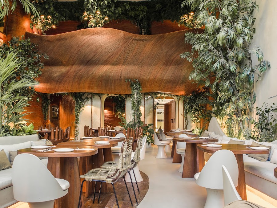 Begin: Jungla | Restaurante en Gandía