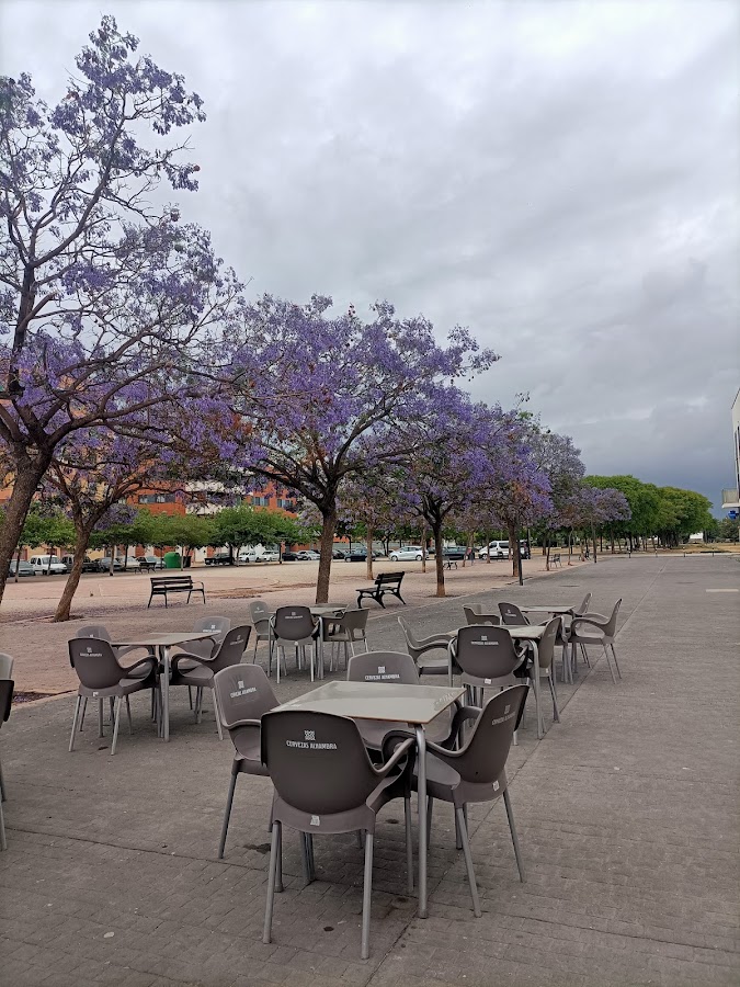Cafetería Cereza Verde