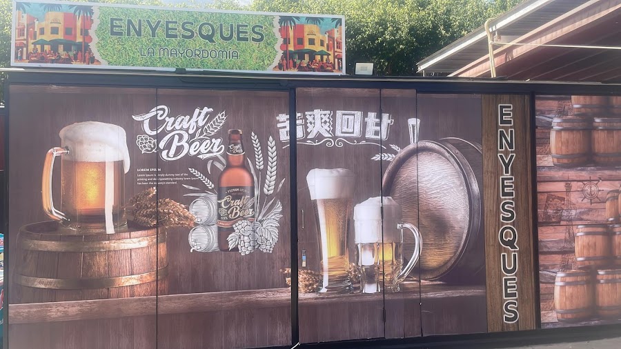 Enyesques