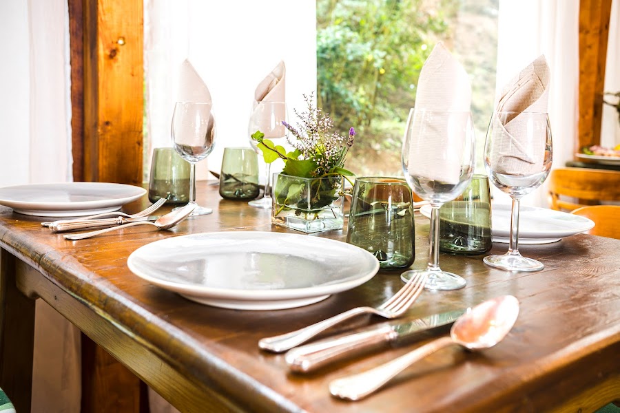 Tajinaste del Refugio